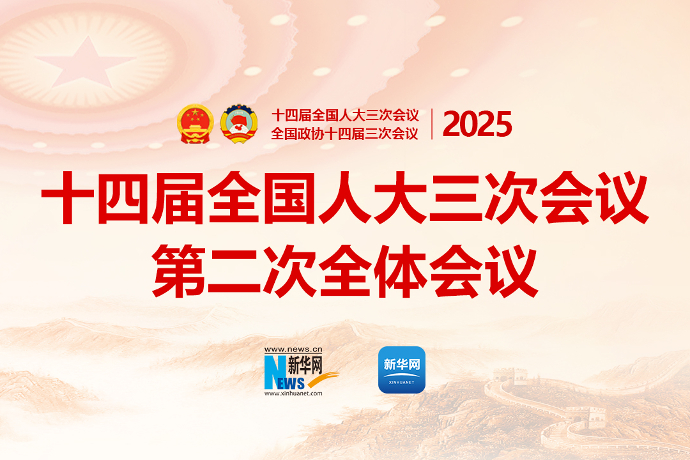 十四届全国人大三次会议第二次全体会议