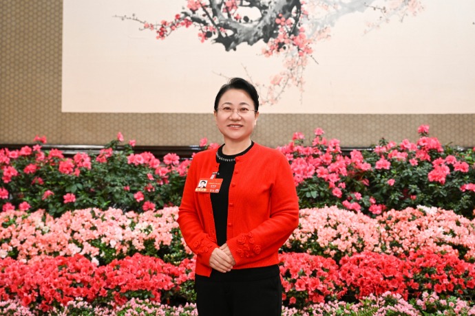 全国人大代表、河北金融学院院长杨伟坤：加快完善科技金融服务体系