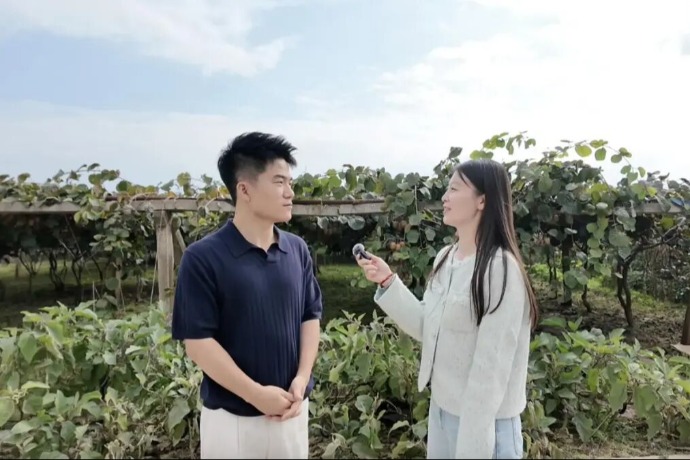 如何让果农赚到钱？董宇辉答上证报
