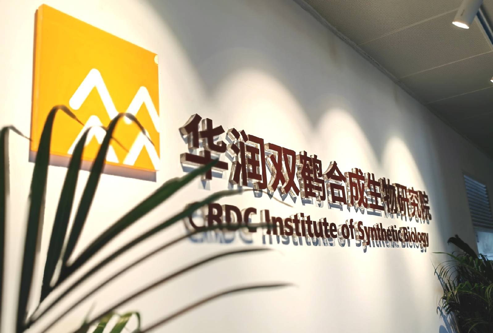 华润双鹤参设5亿元产业基金完成备案 打造合成生物第二增长曲线-上海证券报·中国证券网