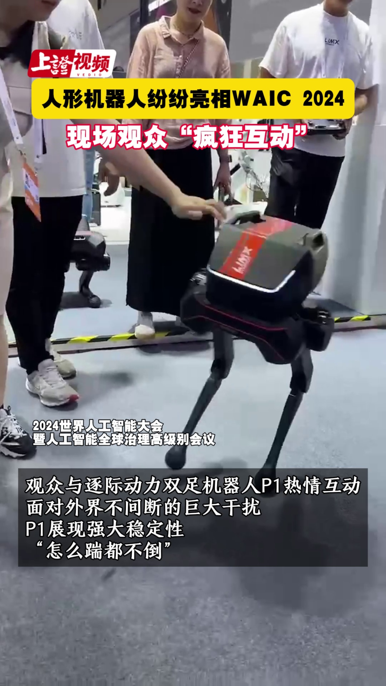 人形机器人纷纷亮相WAIC 2024 现场观众“疯狂互动” 