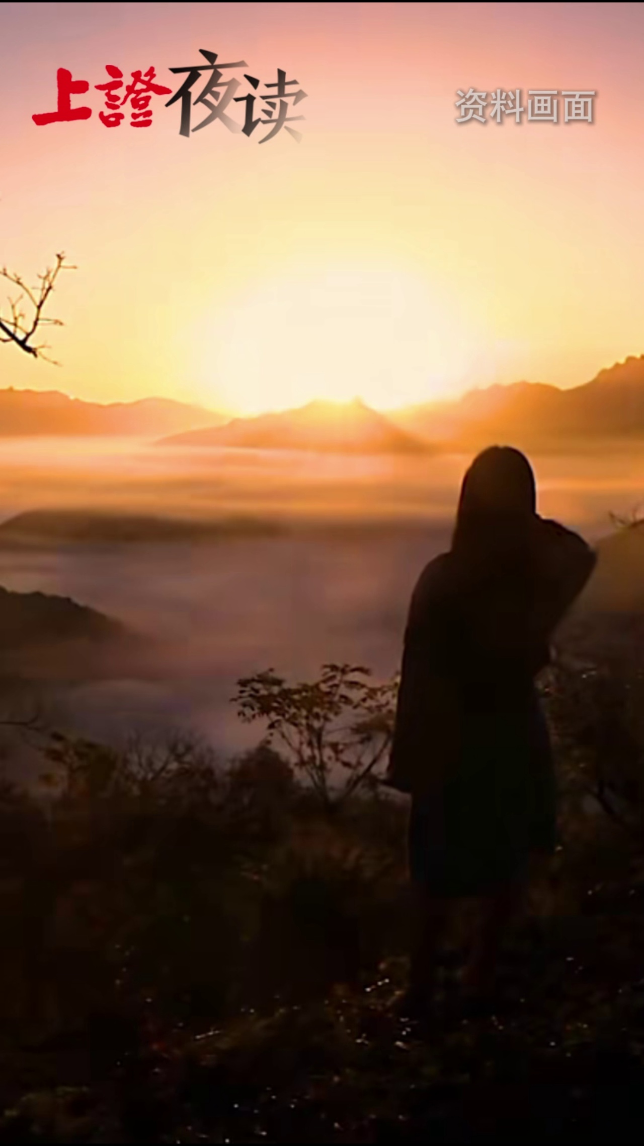 上证夜读 | 热爱可抵岁月漫长