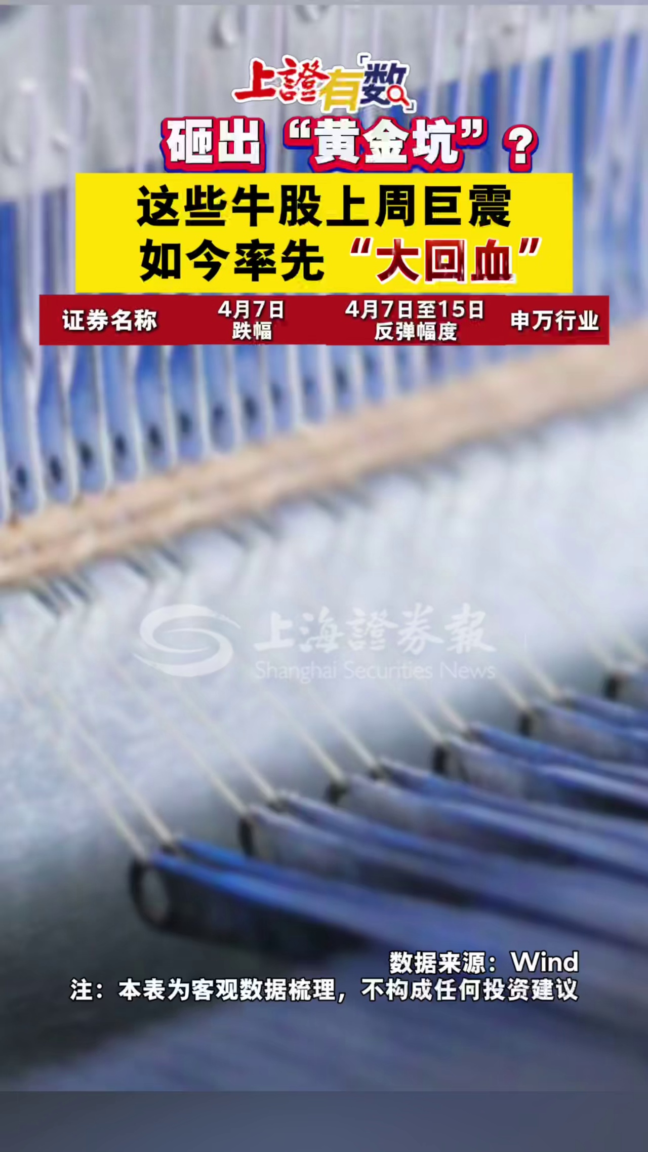 砸出“黄金坑”？这些牛股上周巨震，如今率先“大回血”  #A股