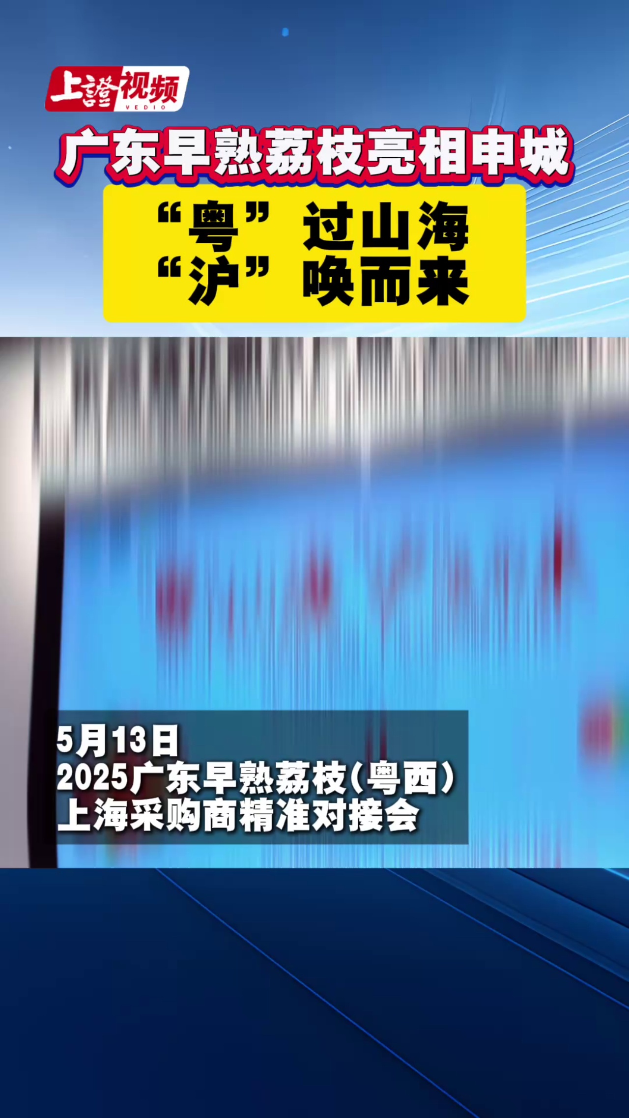 广东早熟荔枝亮相申城 “粤”过山海 “沪”唤而来