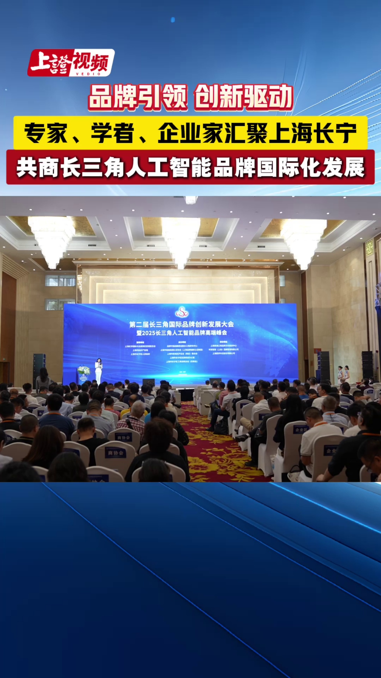 品牌引领 创新驱动 专家学者企业家汇聚上海长宁 共商长三角人工智能品牌国际化发展